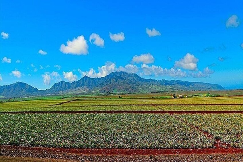 Private Pearl Harbor and Mini Circle Island Tour from Waikiki 