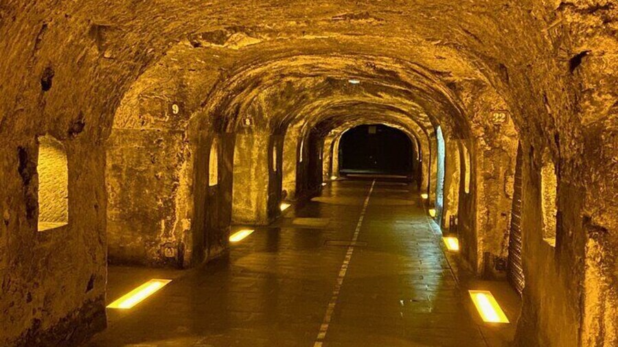 Private Moet et Chandon Champagne Half day Trip from Paris
