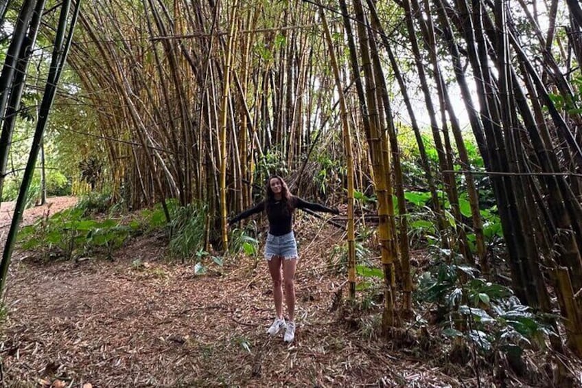 Road to Hana Adventure Small Group Tour with Pickup