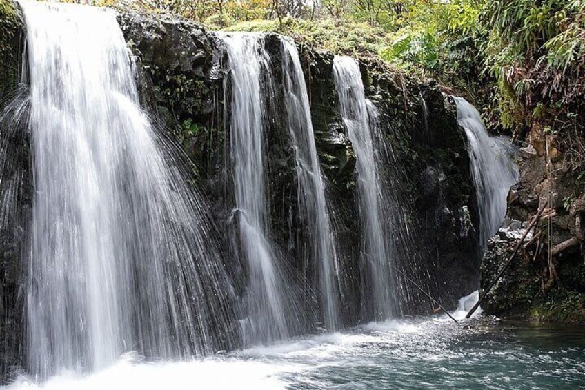 Road to Hana Adventure Small Group Tour with Pickup