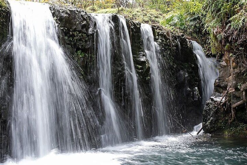 Road to Hana Adventure Small Group Tour with Pickup