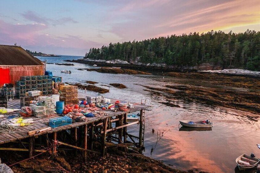 Oyster and Wine Tasting in a Cozy Seaside Lodge