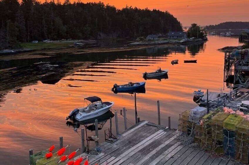 Oyster and Wine Tasting in a Cozy Seaside Lodge