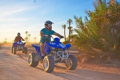 Moroccan Quad and Camel Adventure with Tea in the Palm Oases