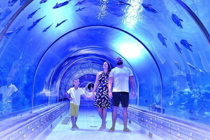 Discover the Marvels of the Grand Aquarium Adventure - Hurghada