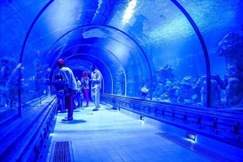 Discover the Marvels of the Grand Aquarium Adventure - Hurghada