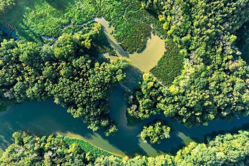 Beyond the Range - 30 min Rainforest Scenic Flight