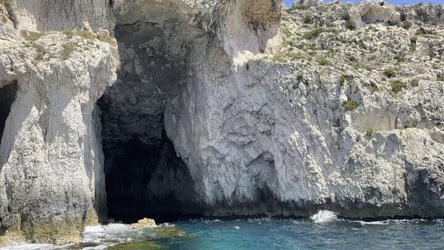 Private tour with fish products and Full Drinks