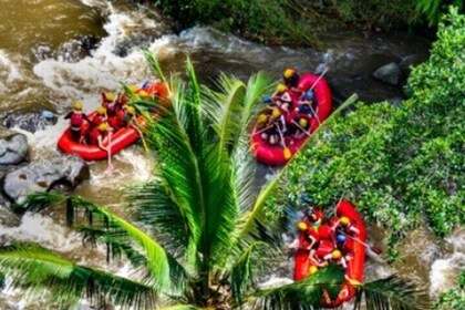 Bali raften: Ubud Rafting bij Ayung River met lunch & vervoer