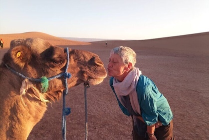 2 Days Private Tour to Sahara from Marrakesh with Pick Up