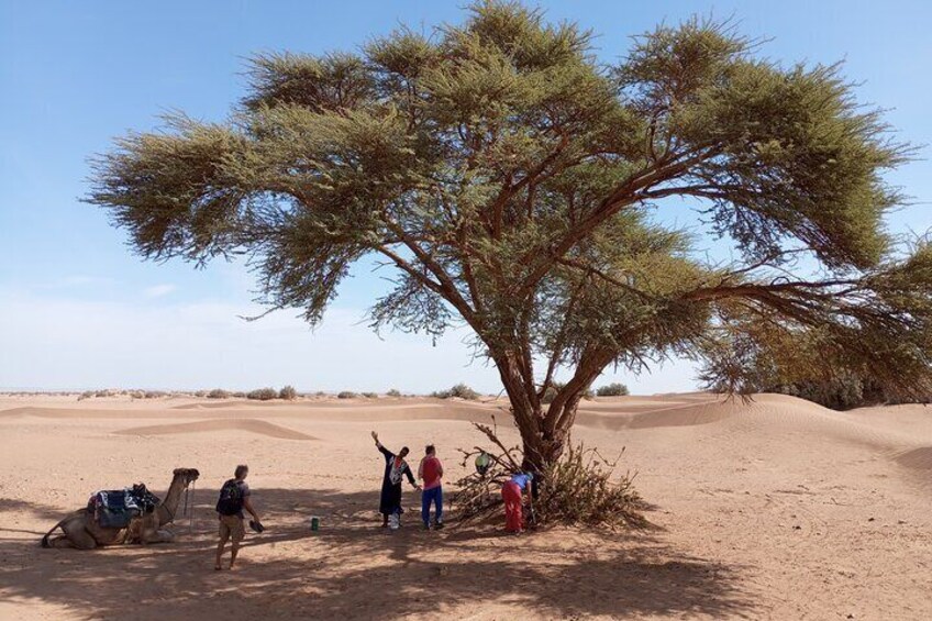 2 Days Private Tour to Sahara from Marrakesh with Pick Up