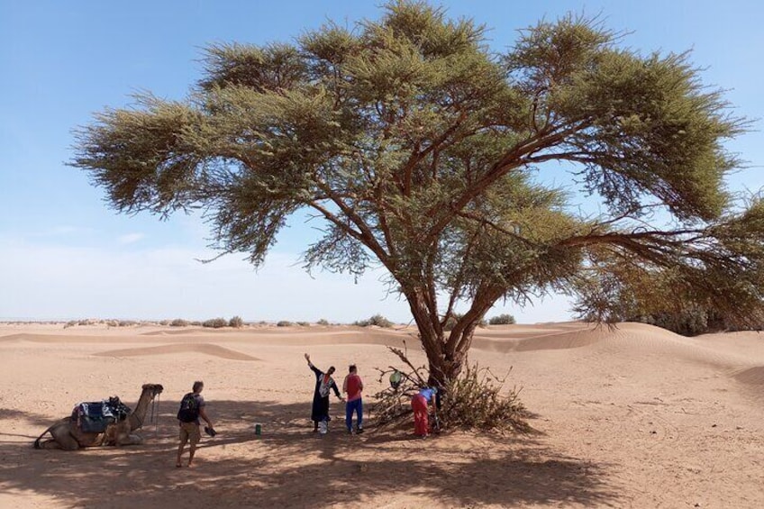 2 Days Private Tour to Sahara from Marrakesh with Pick Up