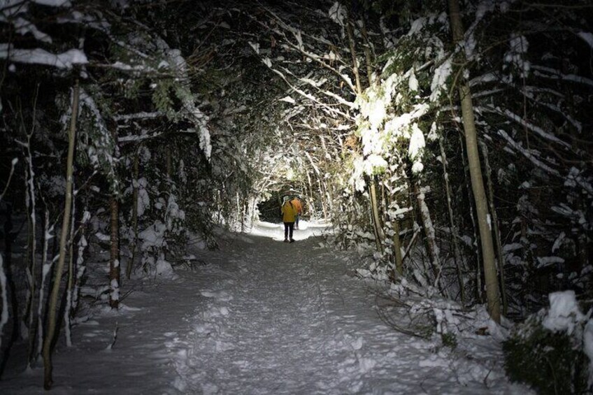 Gatineau Park Nocturnal Snowshoeing Adventure & Dinner - From Ottawa & Gatineau