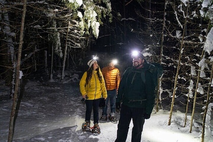 Gatineau Park Nocturnal Snowshoeing Adventure & Dinner - From Ottawa & Gati...