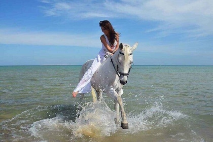 Guided Horse Ride at Nabq Bay Beach & Transfers - Sharm El Sheikh