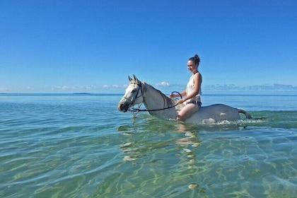 Guided Horse Ride at Nabq Bay Beach & Transfers - Sharm El Sheikh