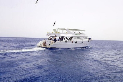 Marsa Mubarak Snorkelling Experience & Lunch – Marsa Alam