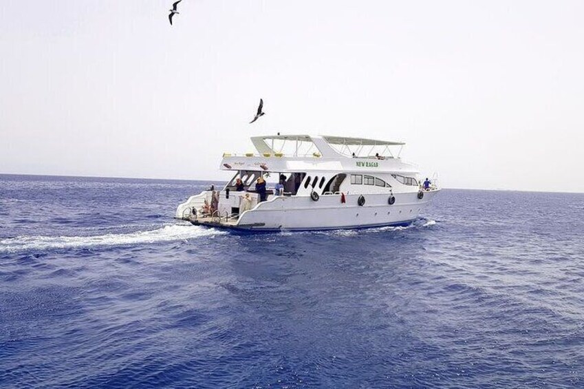 Marsa Mubarak Snorkeling Experience & Lunch – Marsa Alam