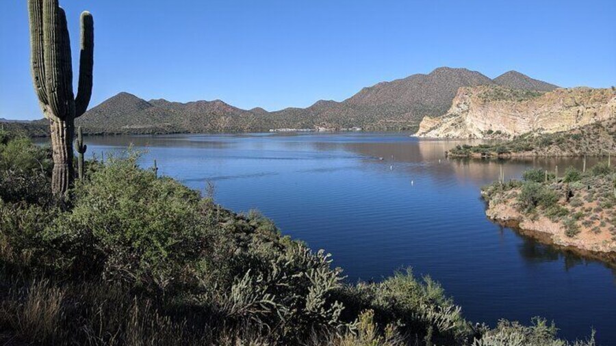 Saguaro Lake View Hike