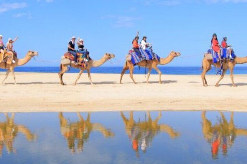 Djerba Camel Ride and Scenic Lagoons