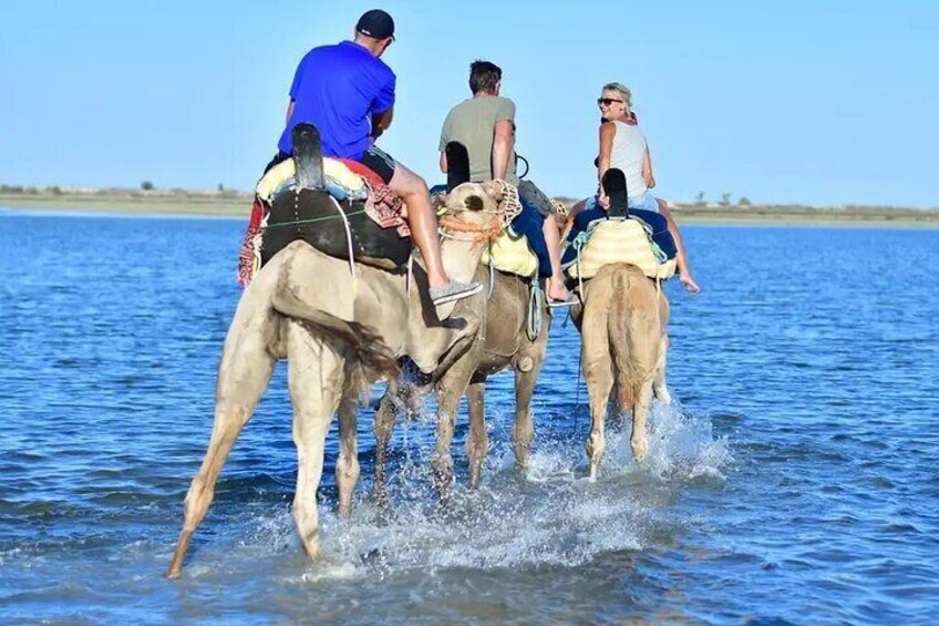 Djerba Camel Ride and Scenic Lagoons
