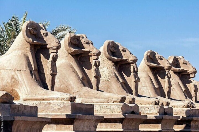 Full Day Luxor Tour to East and West Bank