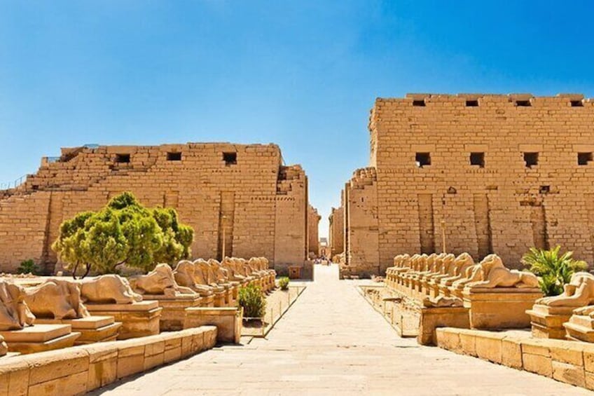 Full Day Luxor Tour to East and West Bank