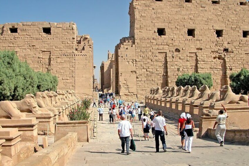 Full Day Luxor Tour to East and West Bank