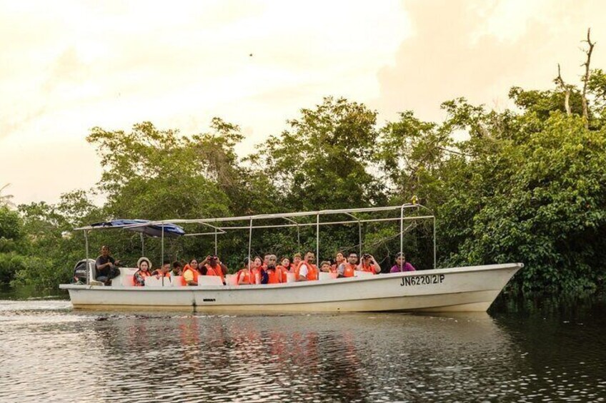 Kota Kinabalu City Tour and Klias River Cruise Fireflies