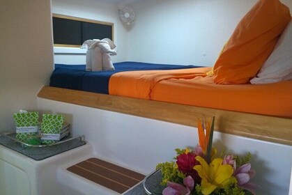 Roatan: Catamaran Cruise Tours & Charter's