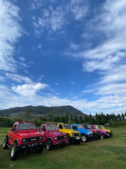 Dieng Mountain Jeep Explorer