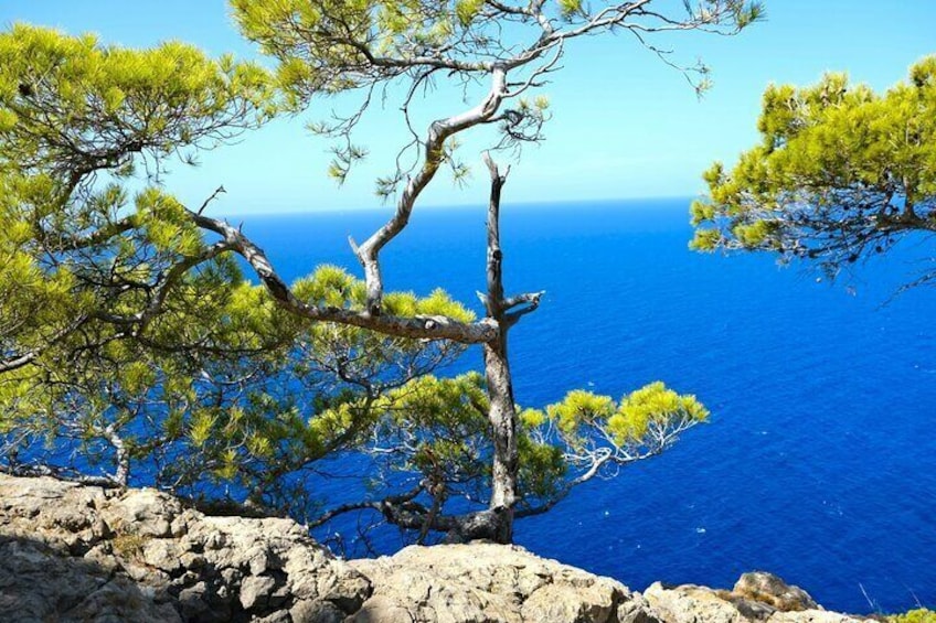 Tramuntana Hidden Gems Scenic Drive Through Mallorca Villages