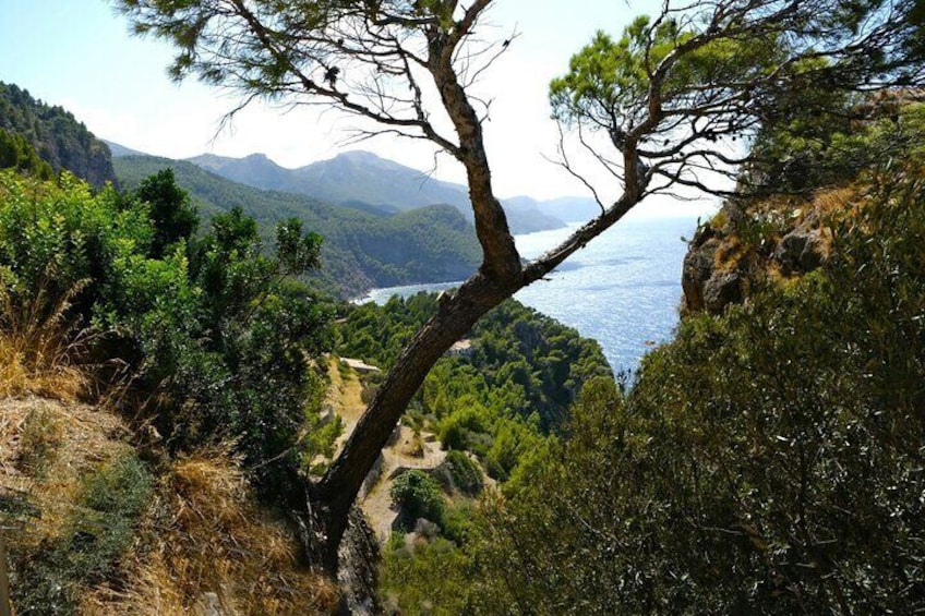 Tramuntana Hidden Gems Scenic Drive Through Mallorca Villages