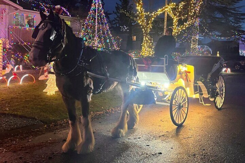 Old fashioned Horse Drawn Caroling Tour