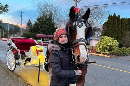 Old fashioned Horse Drawn Caroling Tour