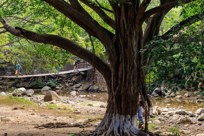 Explore Puerto Vallarta: Self-Guided Walking Audio Tour