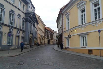 Vilnius: Walking Tour with a Local Guide