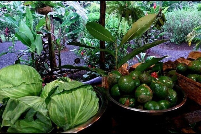 Costa Rica Cooking, El Fogon de Chela