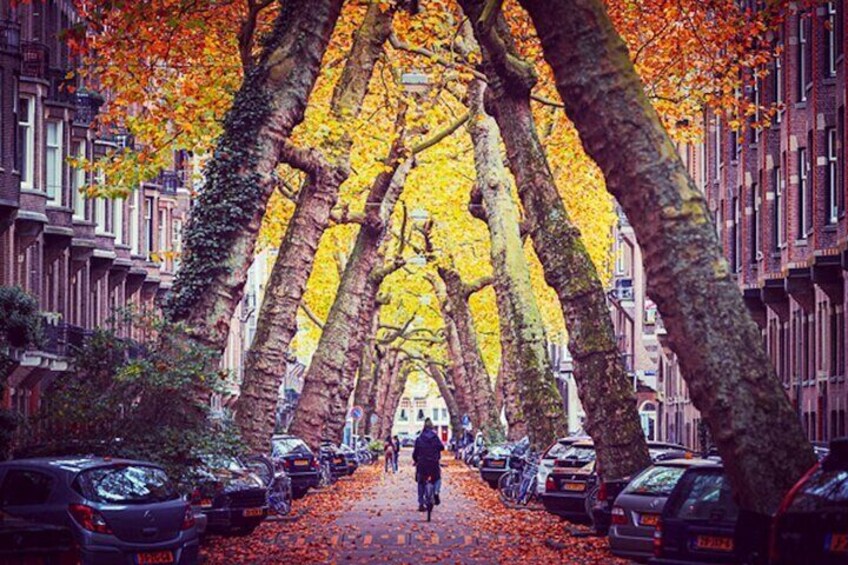 Amsterdam City Top Highlights Guided Bike Tour