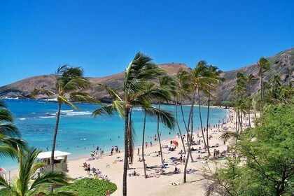 Circle Oahu Island Private Tour with Daily Chauffeur