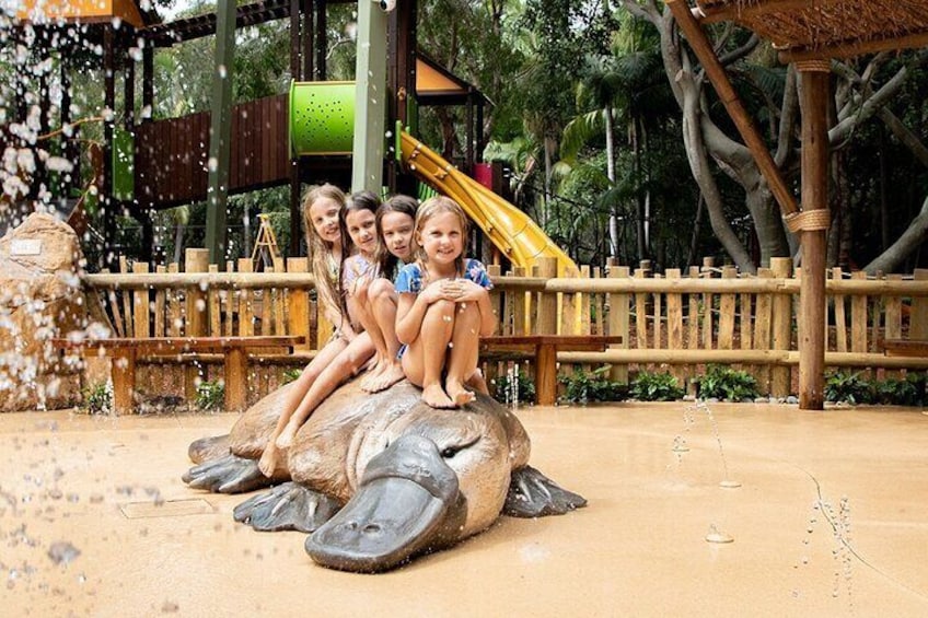 Currumbin Wildlife Sanctuary and Byron Bay Day Tour in Chinese