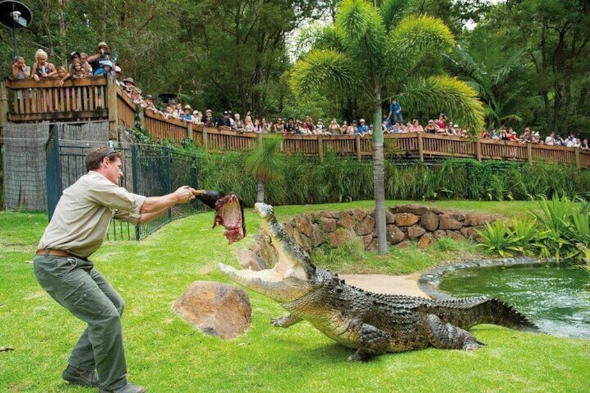 Currumbin Wildlife Sanctuary and Byron Bay Day Tour in Chinese