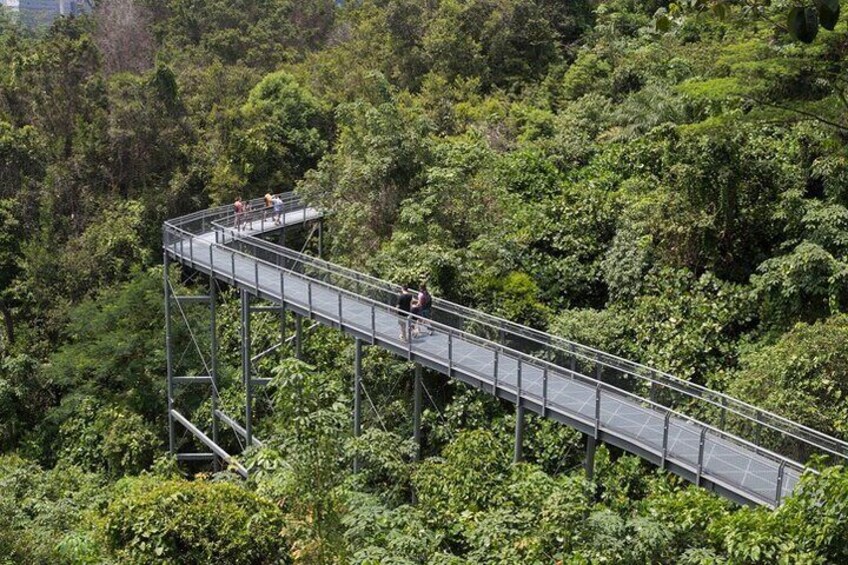 Mt Tamborine And Glow Worm Day Tour