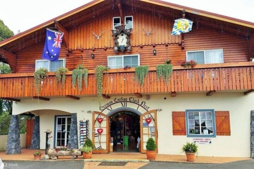 Mt Tamborine And Glow Worm Day Tour