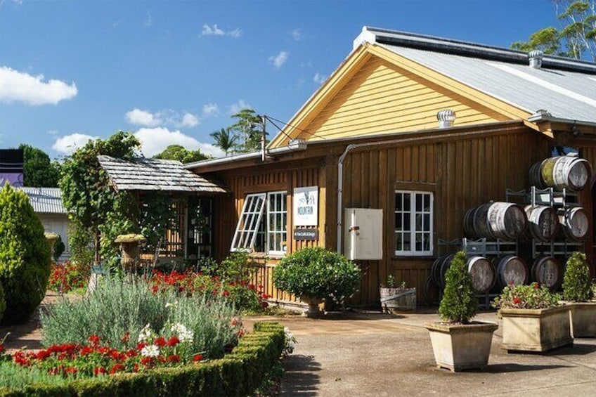 Mt Tamborine And Glow Worm Day Tour