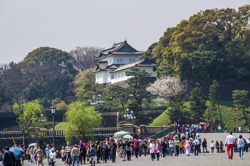 Full Tokyo: Meiji Shrine, Imperial Palace, Akihabara & Senso-ji