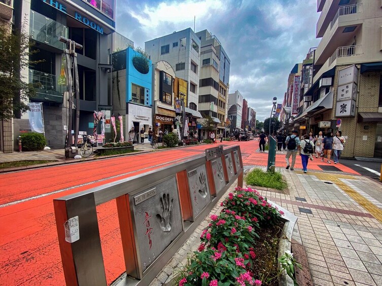 Full Tokyo Experience: Iconic Shrines, Palaces, and Electric Akihabara