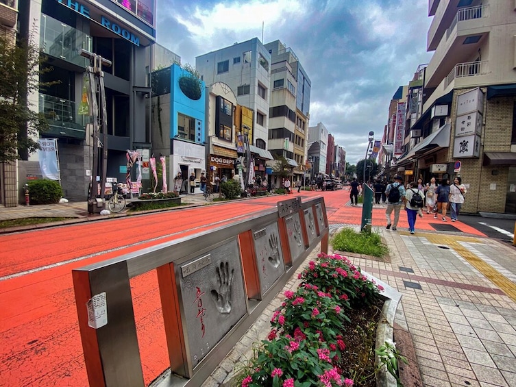 Full Tokyo Experience: Iconic Shrines, Palaces, and Electric Akihabara