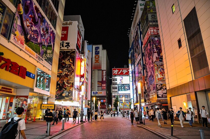 Full Tokyo Experience: Iconic Shrines, Palaces, and Electric Akihabara