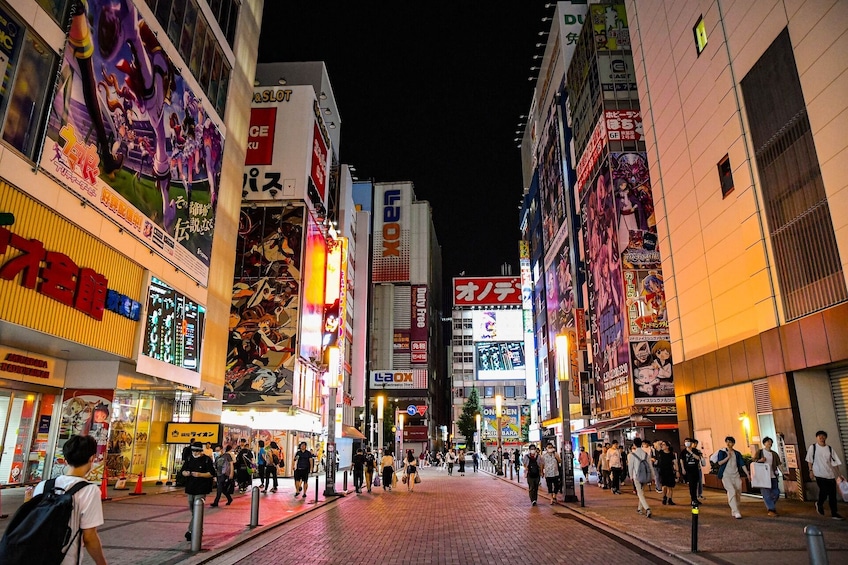 Full Tokyo Experience: Iconic Shrines, Palaces, and Electric Akihabara